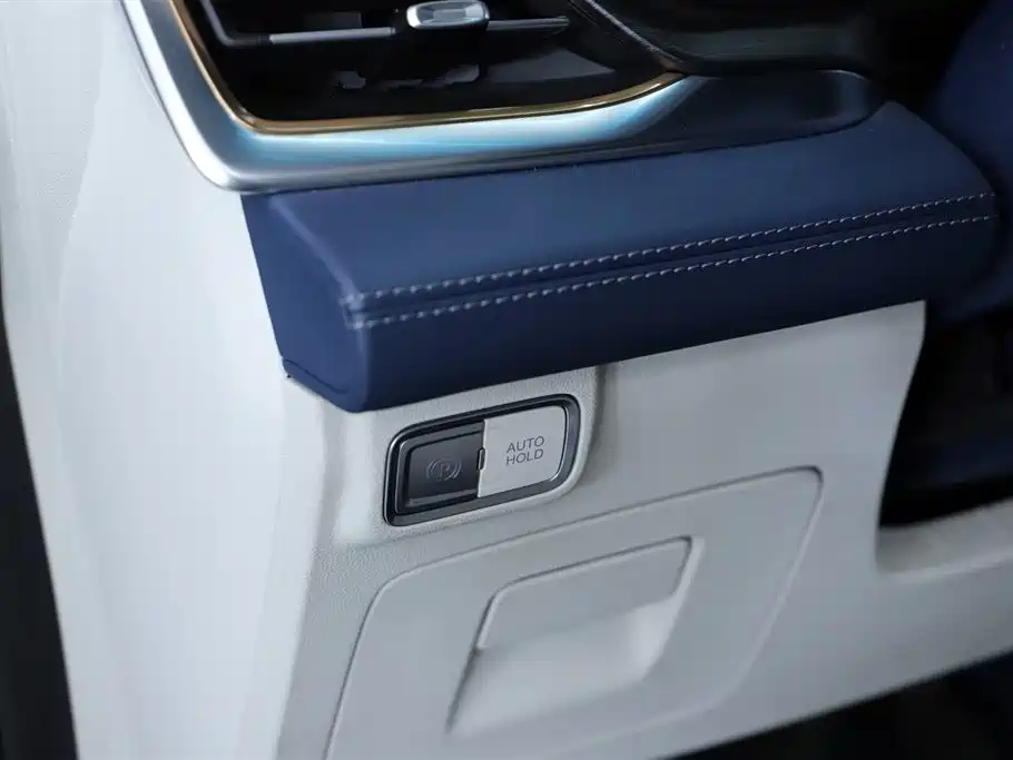 2023 Century 2.0T Six-Seater Yunshi Edition