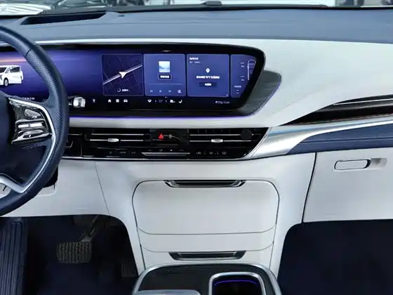 2023 Century 2.0T Six-Seater Yunshi Edition