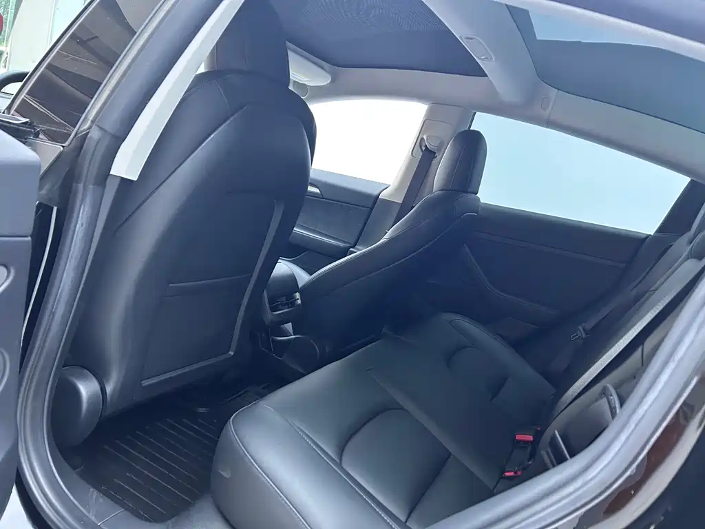 Model 3 Standard Range Rear-Wheel Drive Upgrade 2021