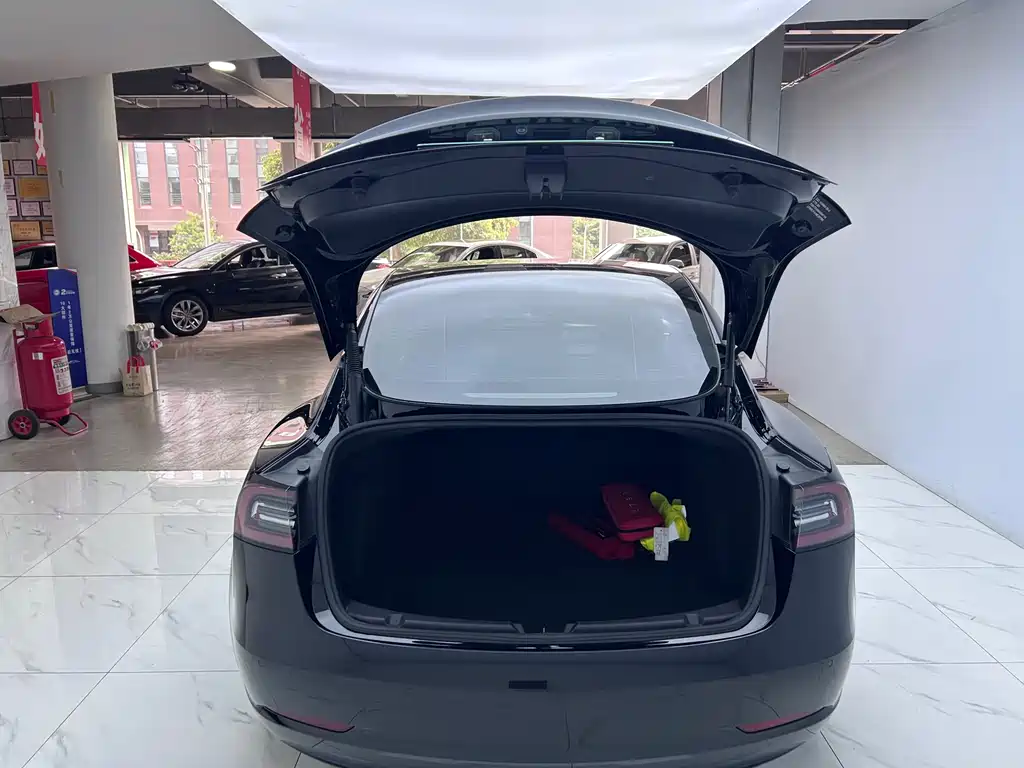 Model 3 Standard Range Rear-Wheel Drive Upgrade 2021