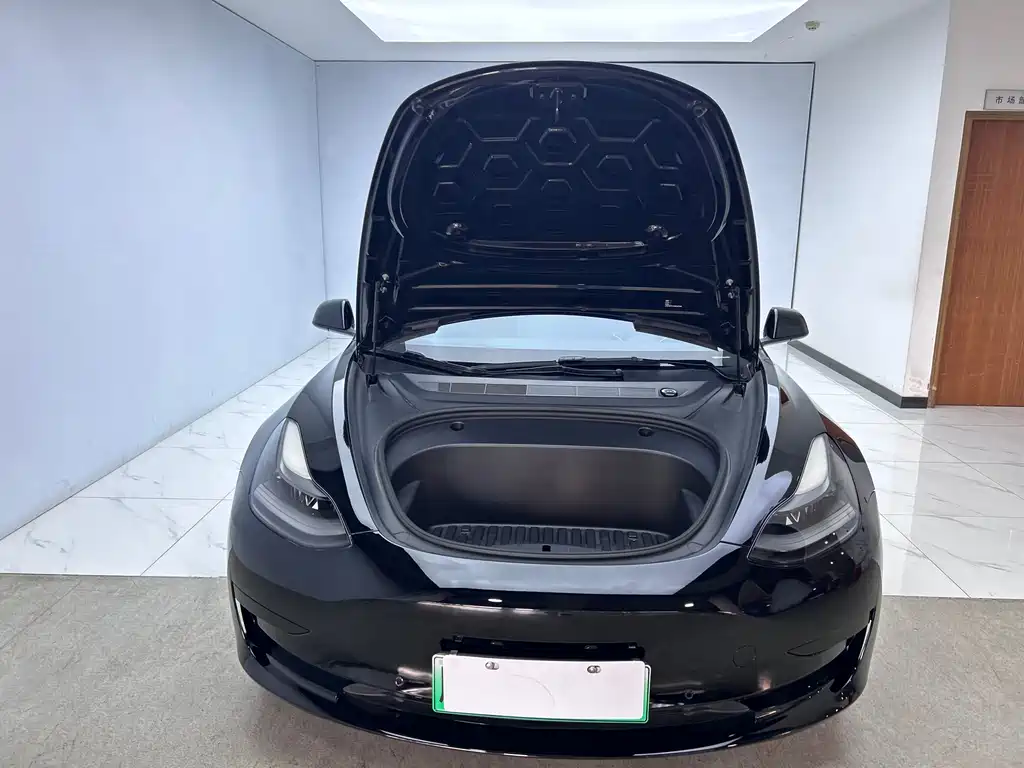 Model 3 Standard Range Rear-Wheel Drive Upgrade 2021