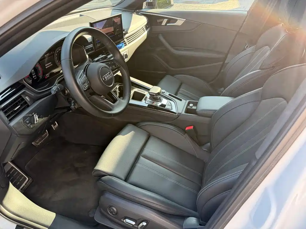 Audi A4L 2024 40 TFSI Luxury Dynamic Edition (Starry Night)