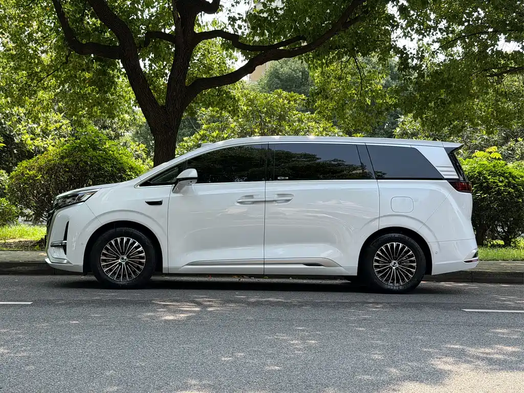 Tengri D9 2025 Model DM-i Intelligent Driving Edition 1020 All-Wheel Drive Prestige Version
