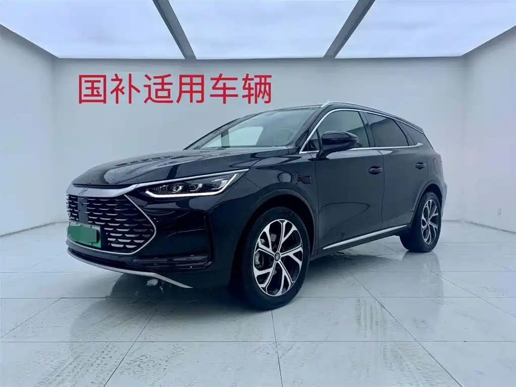 Tang New Energy 2025 Model Intelligent Driving Edition DM-i 115KM Flagship Type