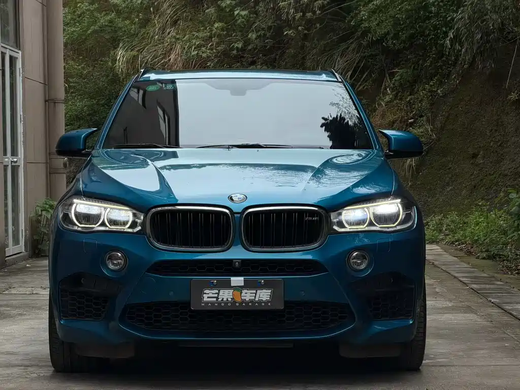 BMW X5 M 2013款 X5 M