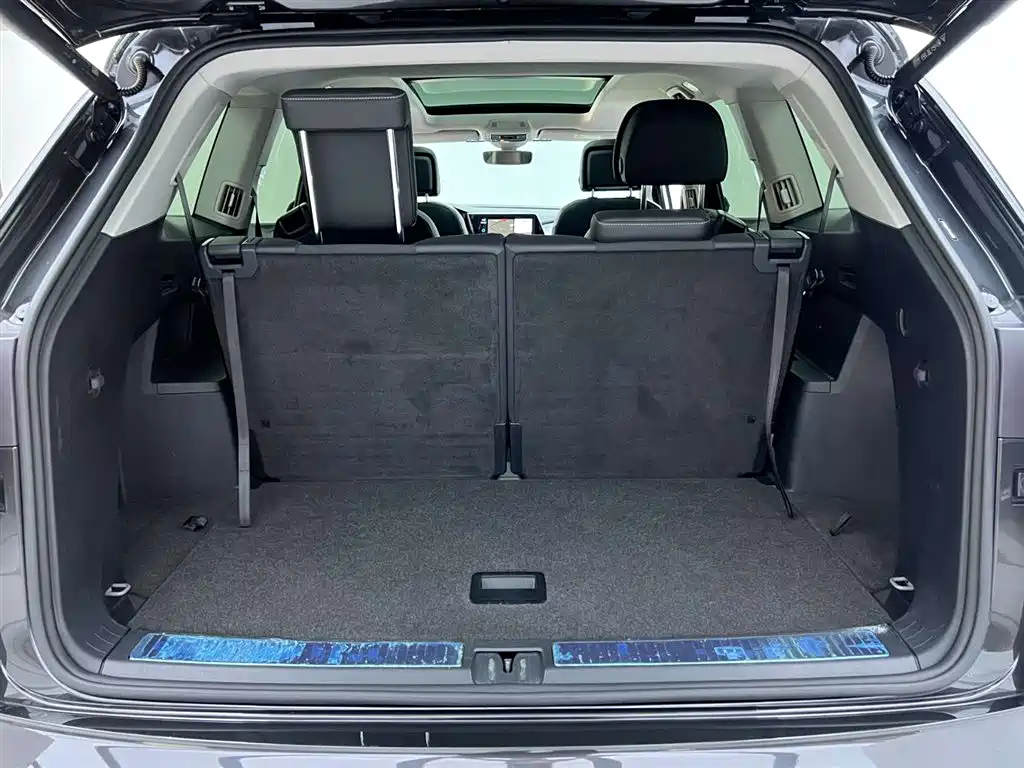 Lan Jin 2021 530TSI 4x4 Flagship Sheng Jin Pro