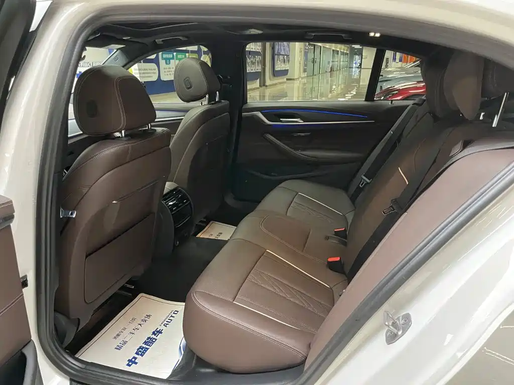 BMW 5 Series 2022 530Li xDrive M Sport Package
