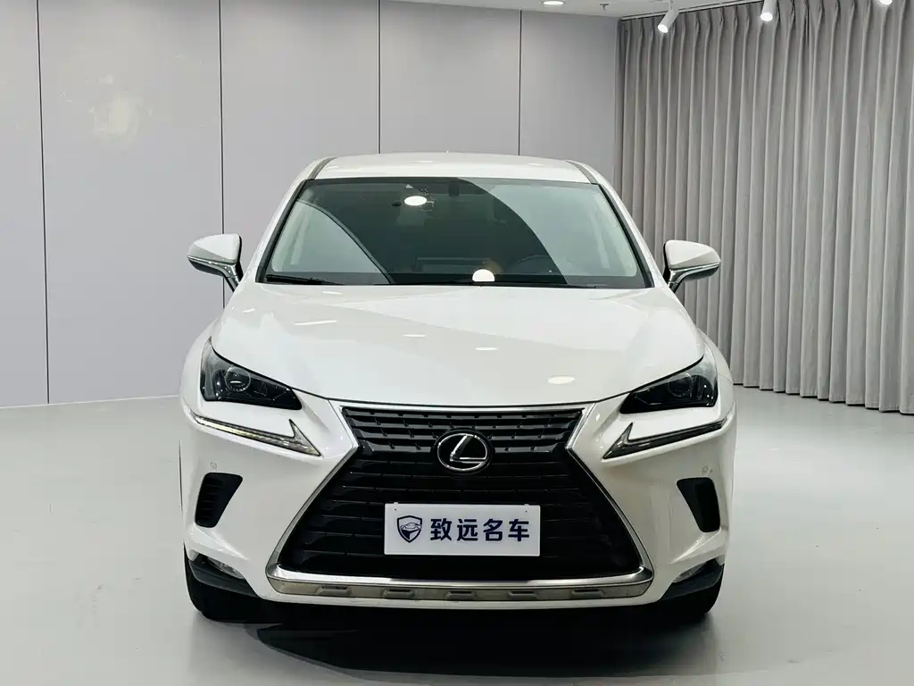 Lexus NX 2020 200 FWD Fengyi Edition China VI