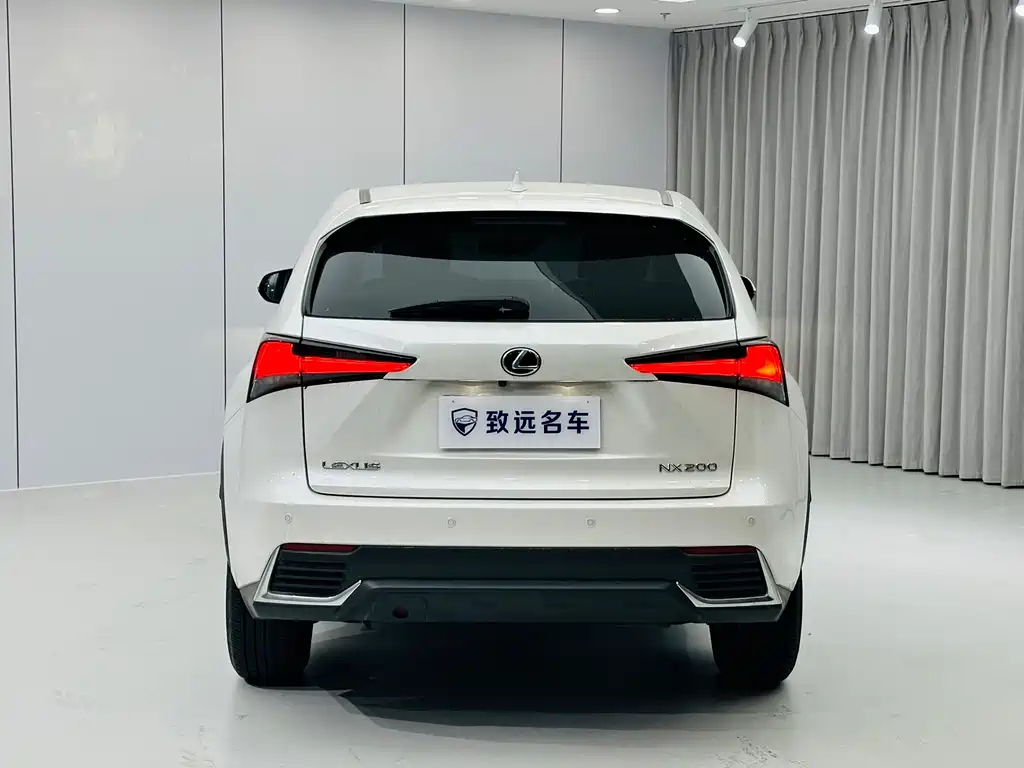 Lexus NX 2020 200 FWD Fengyi Edition China VI