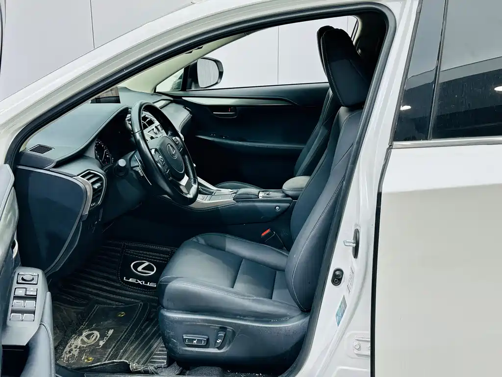 Lexus NX 2020 200 FWD Fengyi Edition China VI