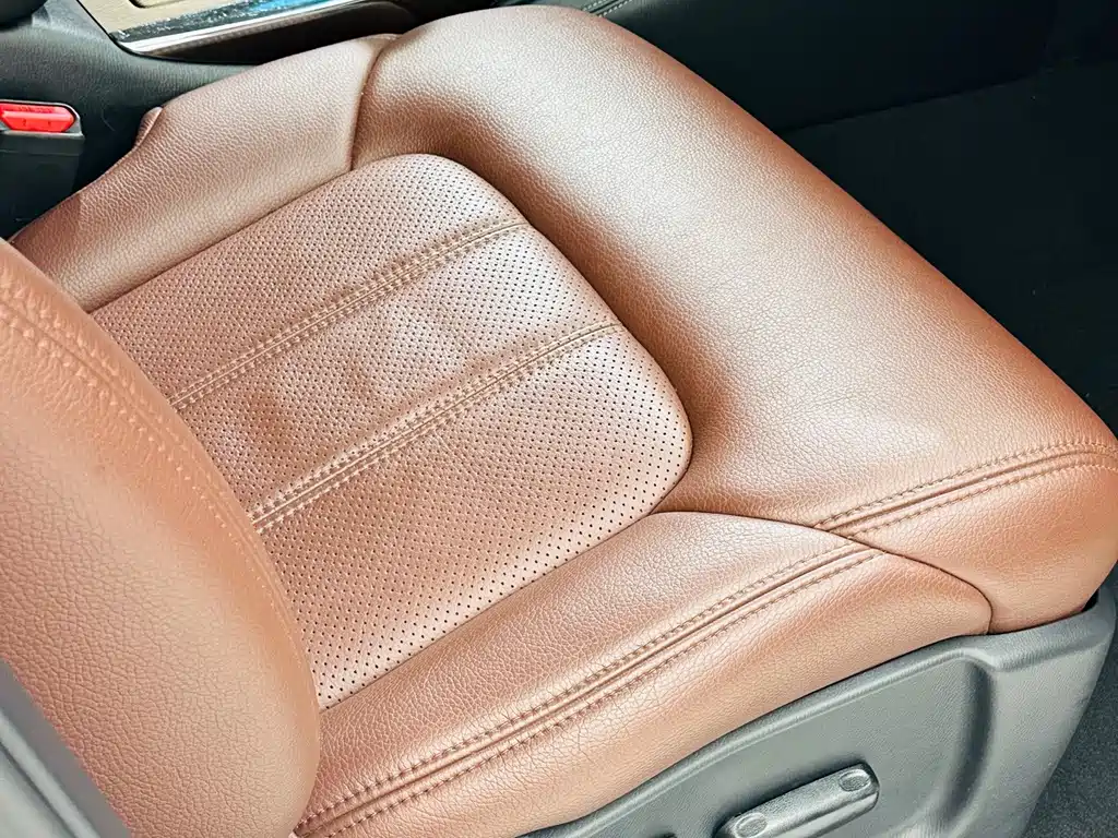 Tulip 2017 Model Standard