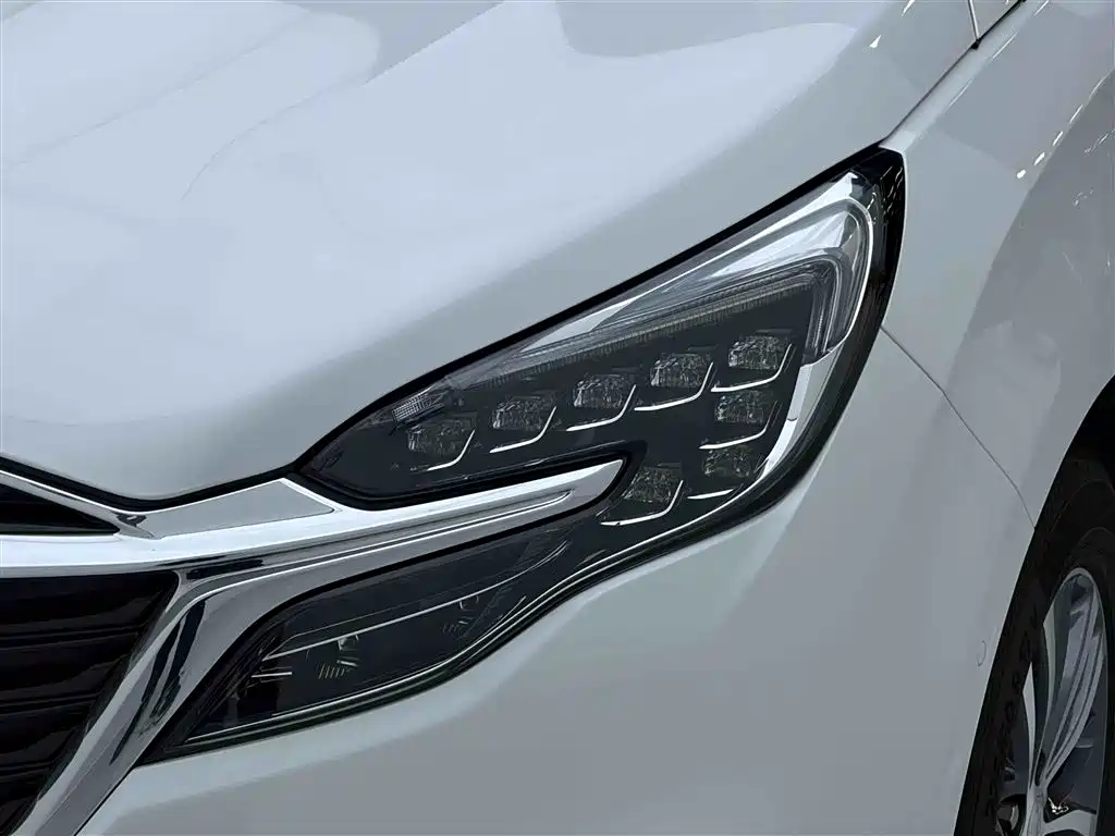 Buick GL8 2022 ES Luxury 653T