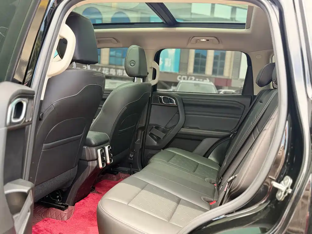 Haval Dog 2022 1.5T DCT Two-Wheel Drive Border Collie Edition