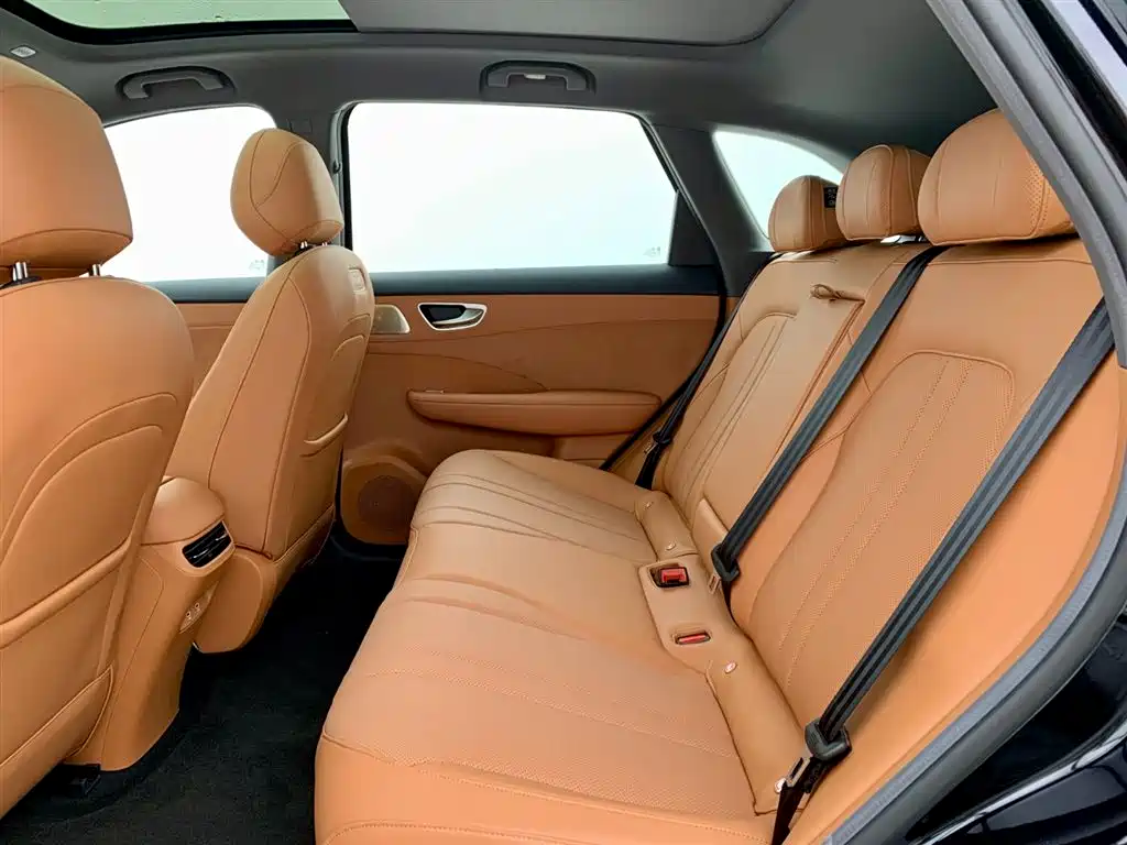 Shangjie H5 2025 Edition Range-Extended Max