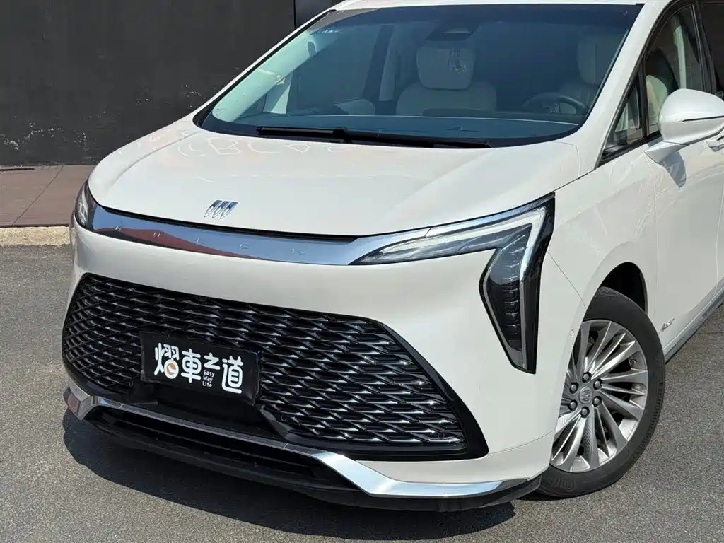 2023 Century 2.0T Six-Seater Yunshi Edition