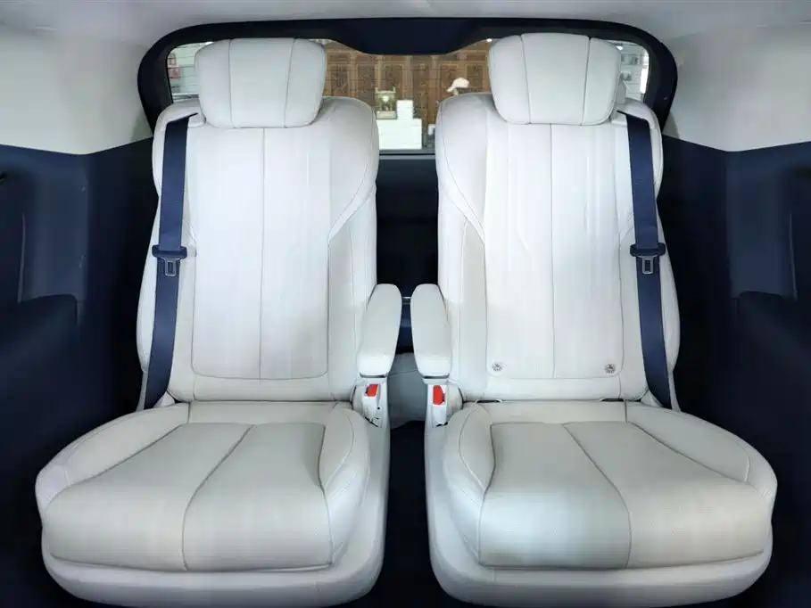 2023 Century 2.0T Six-Seater Yunshi Edition