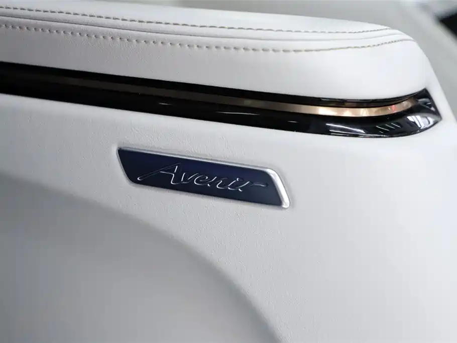2023 Century 2.0T Six-Seater Yunshi Edition