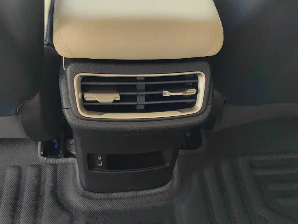 Qin L 2024 DM-i 80KM Leading Edition