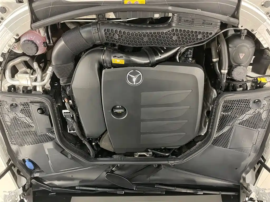 Mercedes-Benz C-Class 2021 C 260 L Sporty Starry Treasure Edition