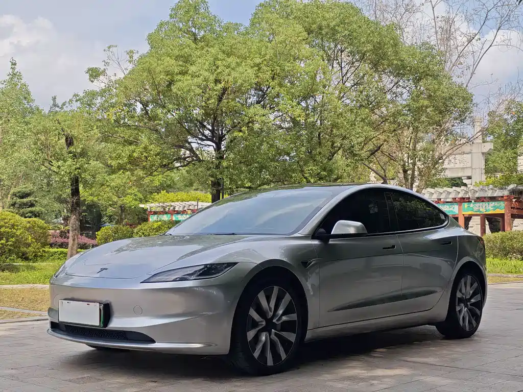 Model 3 2025 Rear-Wheel Drive Edition