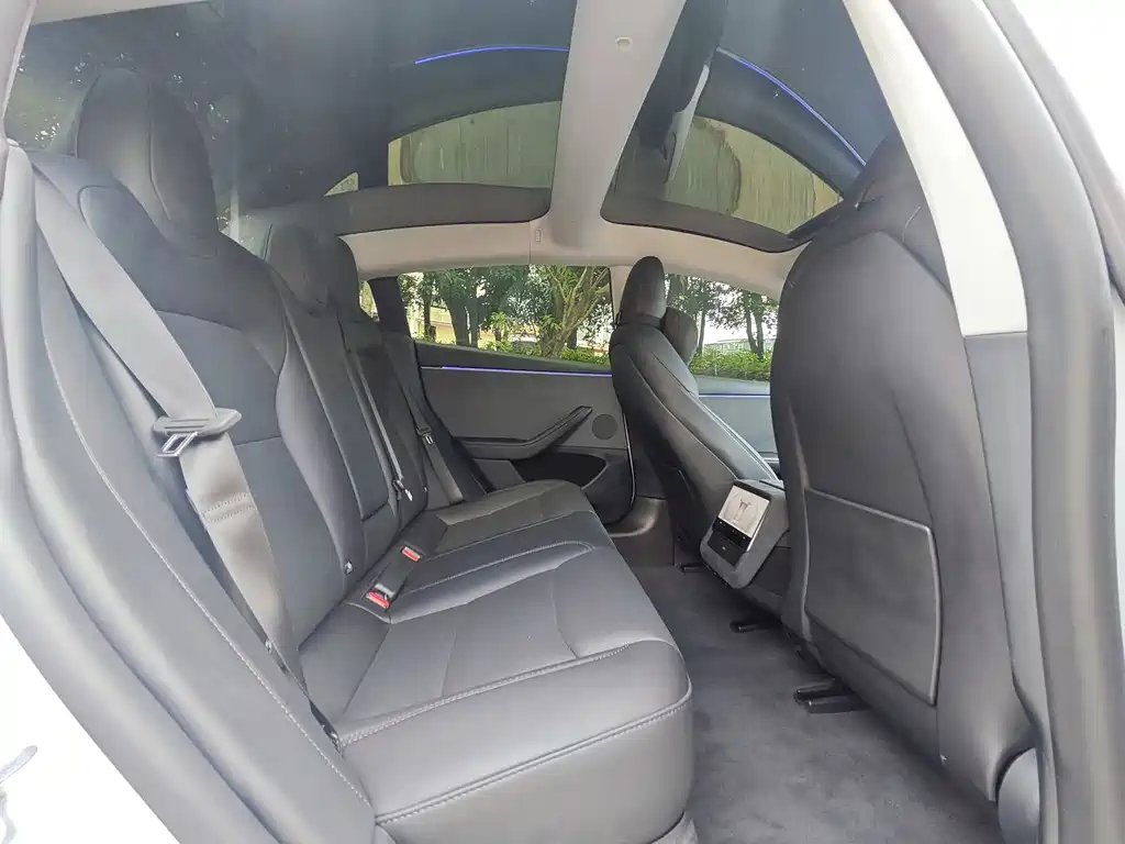 Model 3 2025 Rear-Wheel Drive Edition