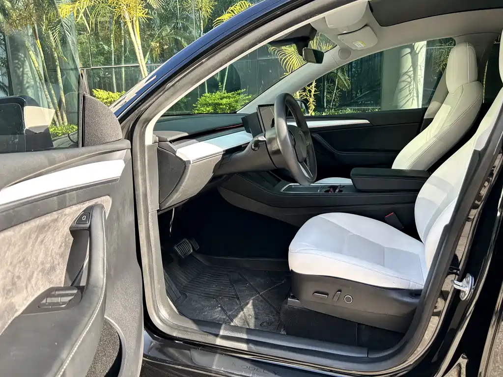Model Y 2022 Rear-Wheel Drive Edition