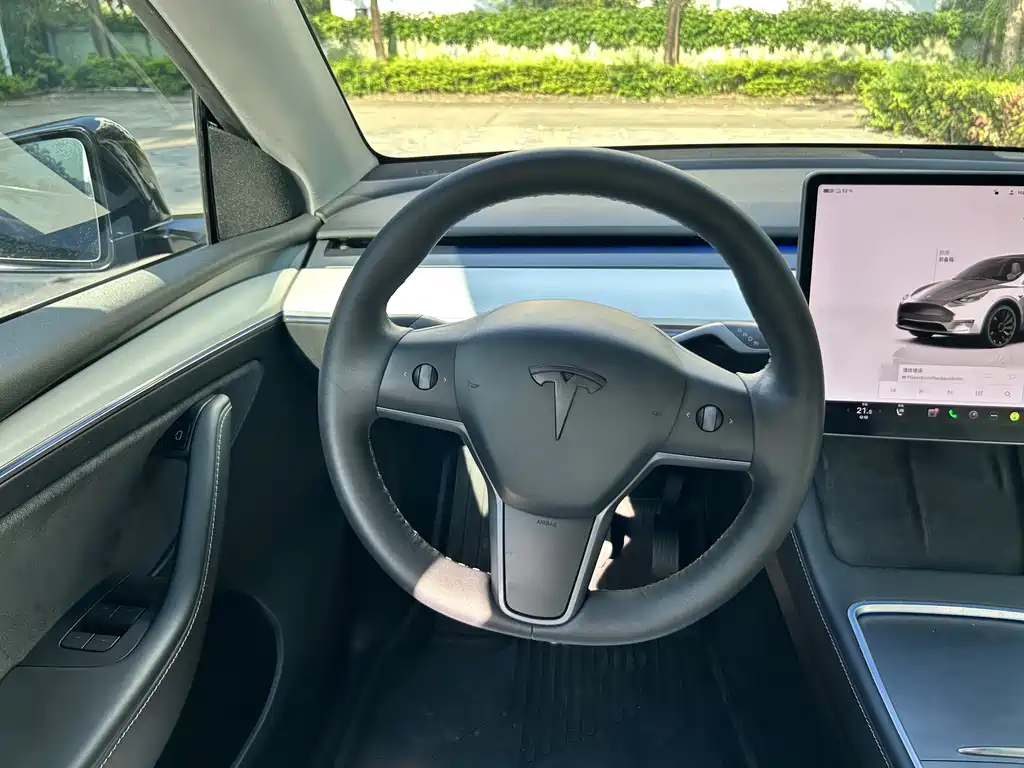 Model Y 2022 Rear-Wheel Drive Edition