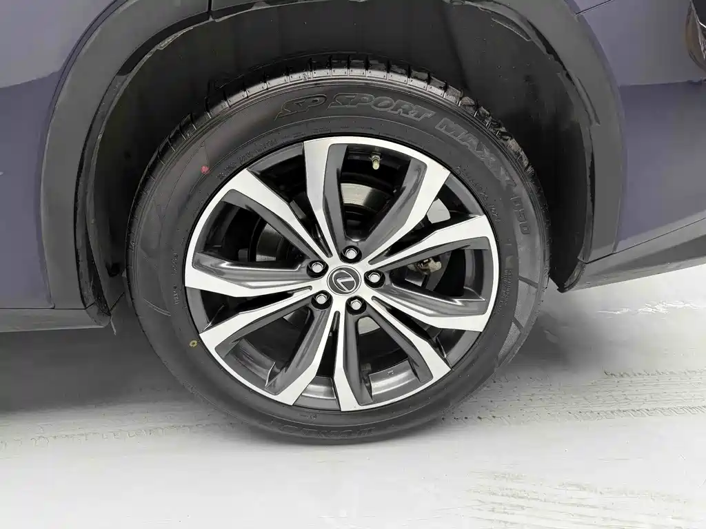 Lexus RX 2020 Facelift 300 4WD Elegant Edition