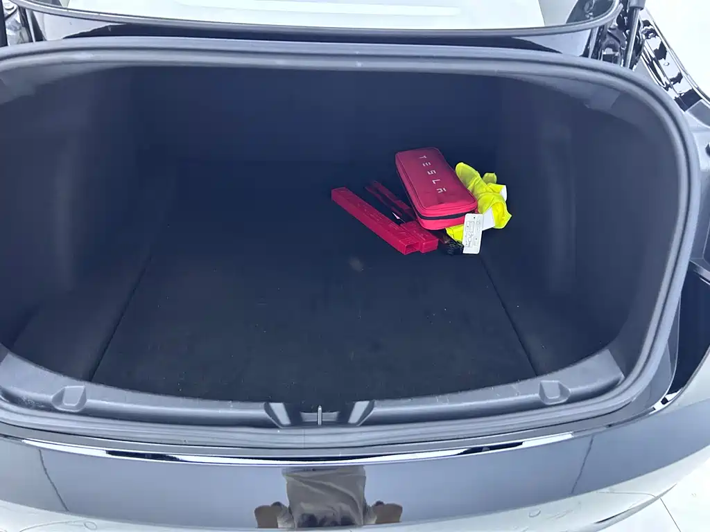 Model 3 Standard Range Rear-Wheel Drive Upgrade 2021