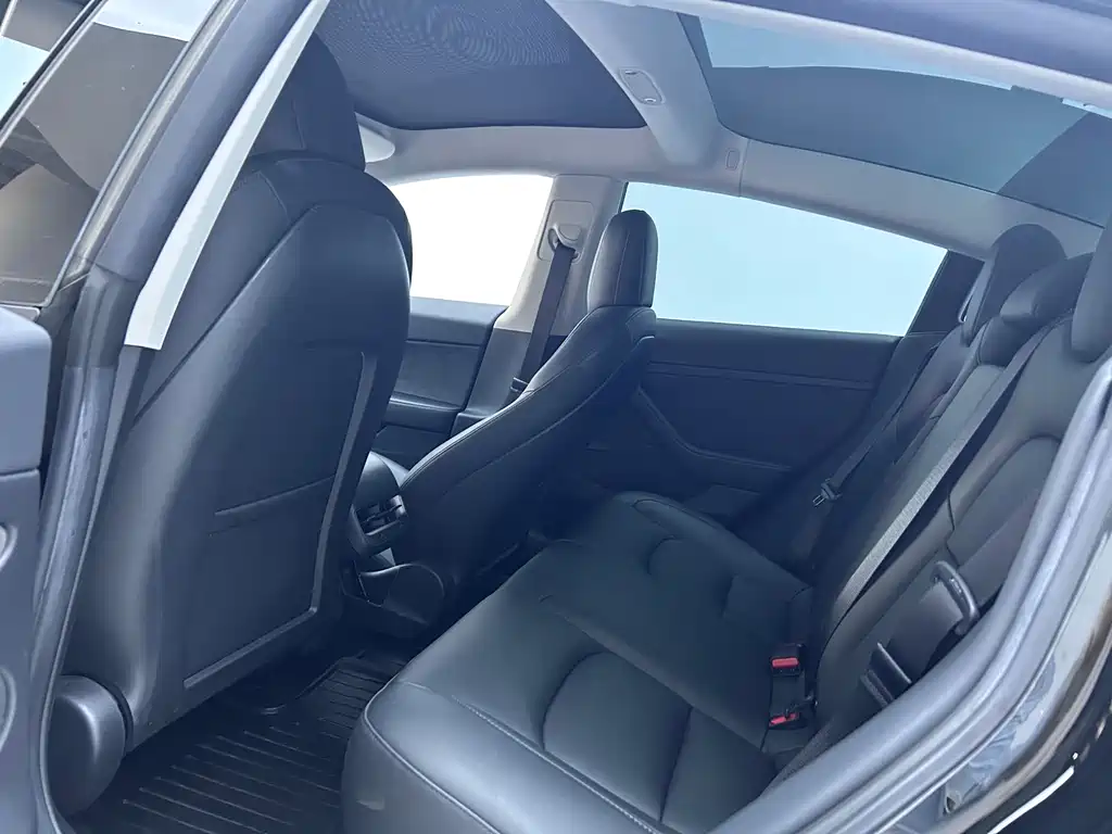 Model 3 Standard Range Rear-Wheel Drive Upgrade 2021