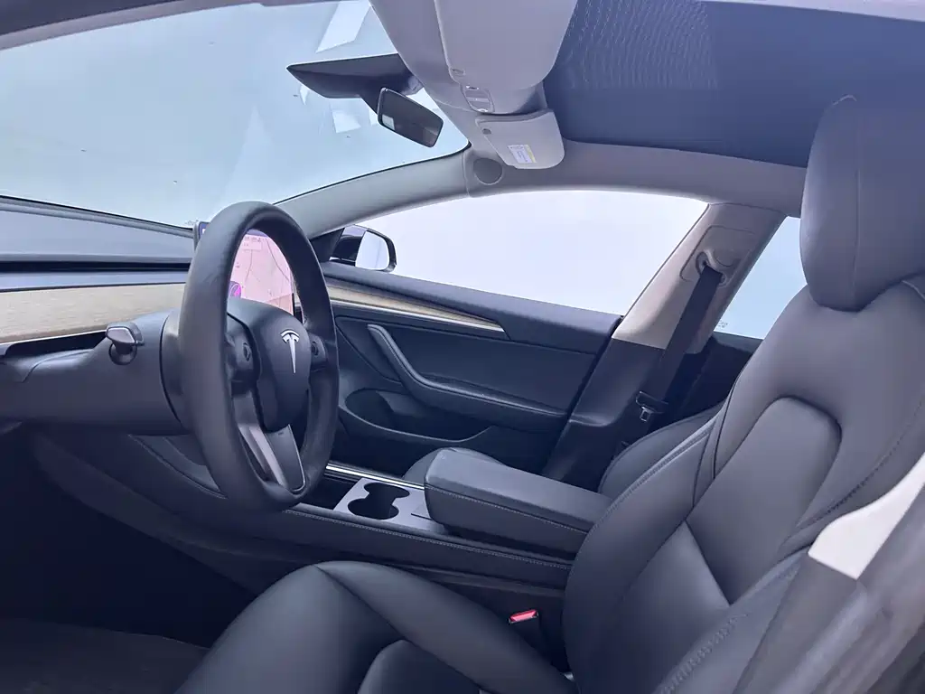 Model 3 Standard Range Rear-Wheel Drive Upgrade 2021