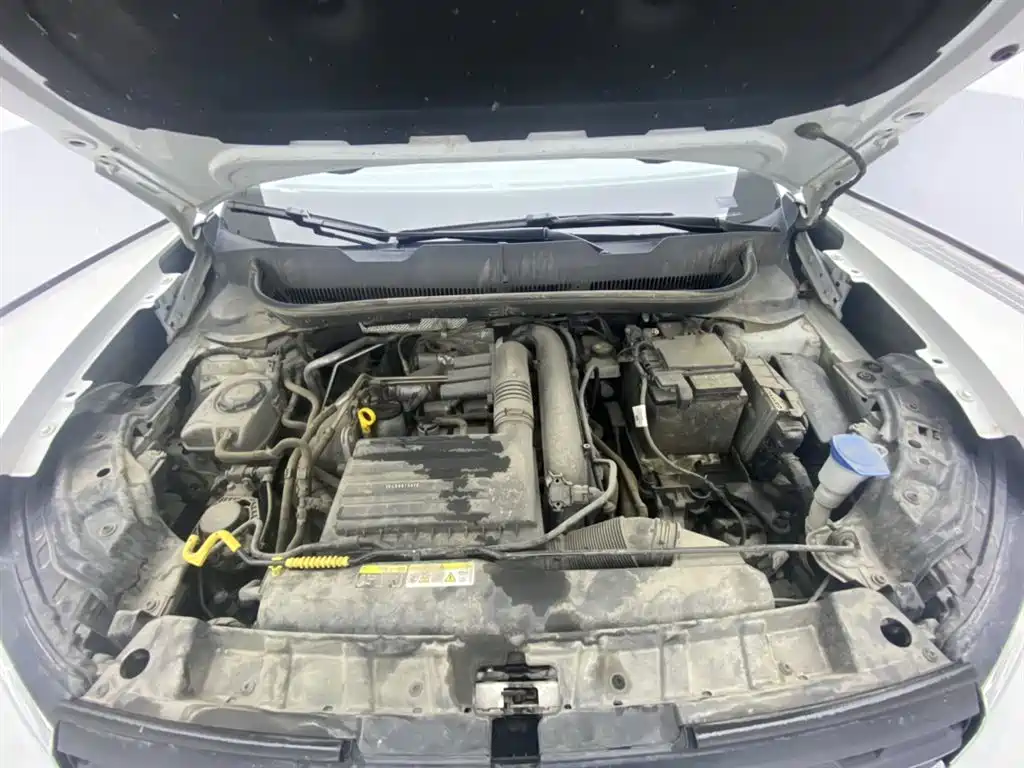 Tayron 2023 200TSI DSG Yuezhiilian Edition