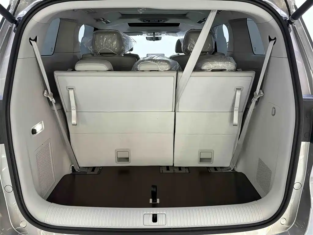 ROEWE iMAX8 New Energy 2025 Edition 1.5T DMH Lushun Zhixiang Version