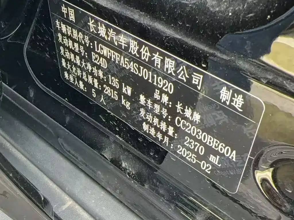 Tank 300 2025 Model 2.0T Gasoline Challenger