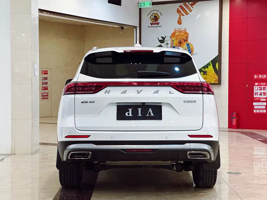 Haval H6 2021 Model National Style Edition 1.5T Automatic Champion Edition
