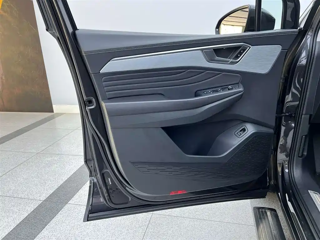 Lan Jin 2021 530TSI 4x4 Flagship Sheng Jin Pro