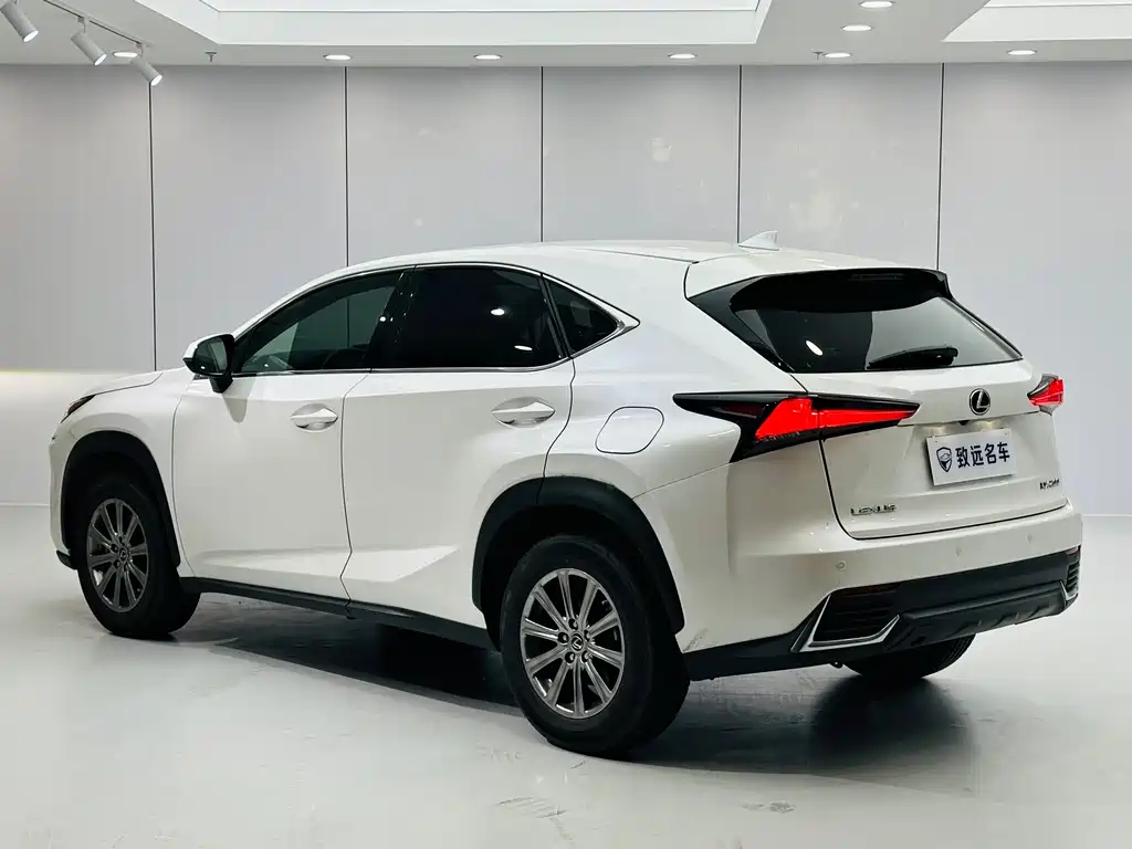 Lexus NX 2020 200 FWD Fengyi Edition China VI