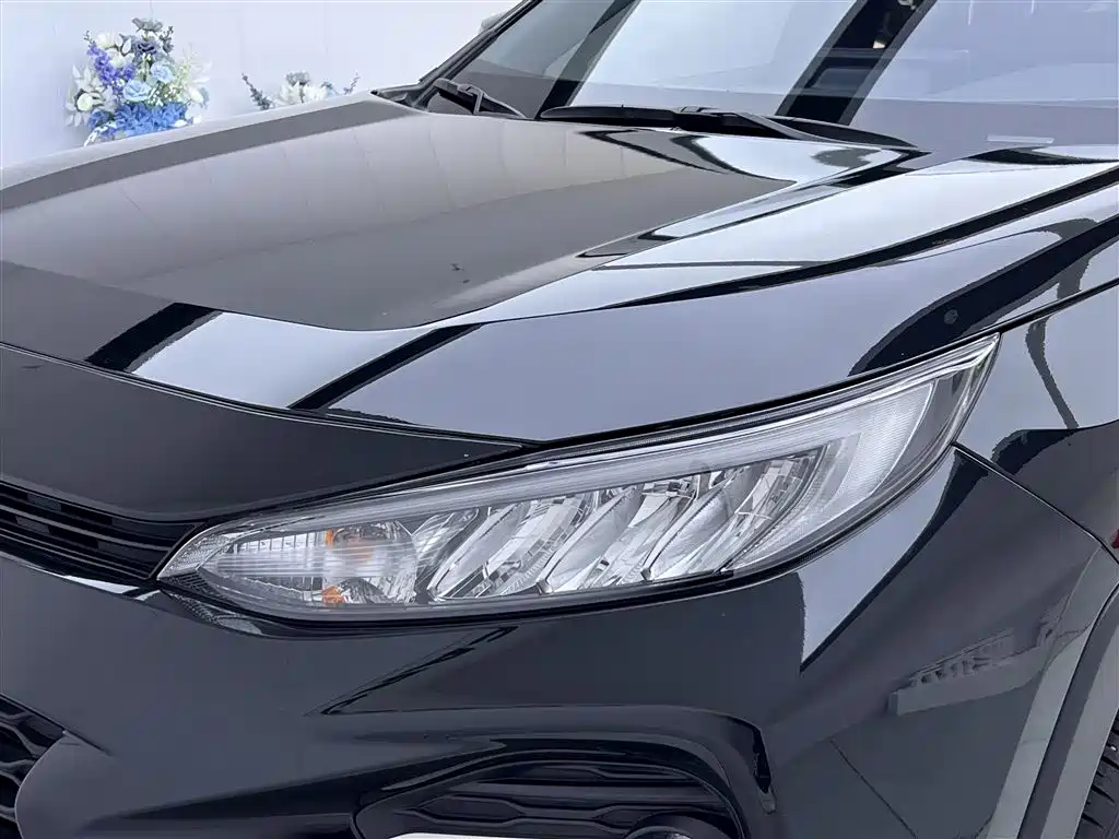 Velaranda 2022 2.0L CVT Two-wheel Drive Leading Edition