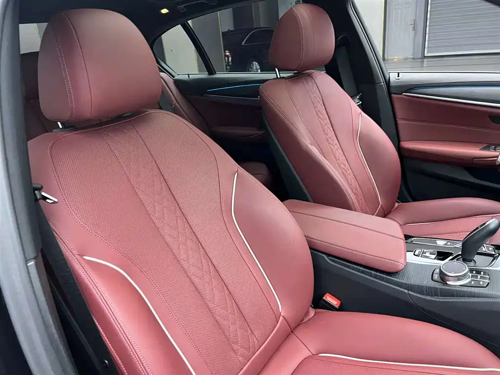 BMW 5 Series New Energy 2022 Model Refresh 535Le Pioneer Edition M Sport Package