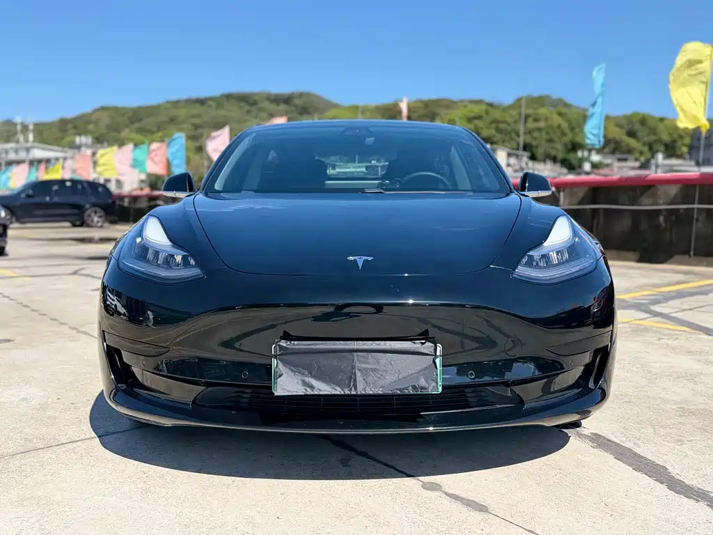 Model 3 Long Range Rear-Wheel Drive Upgrade 2020