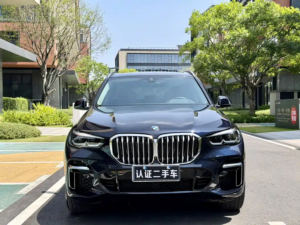 BMW X5 2022 xDrive 30Li M Sport Package