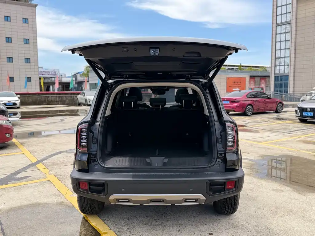 Haval Dog 2022 1.5T DCT Two-Wheel Drive Border Collie Edition