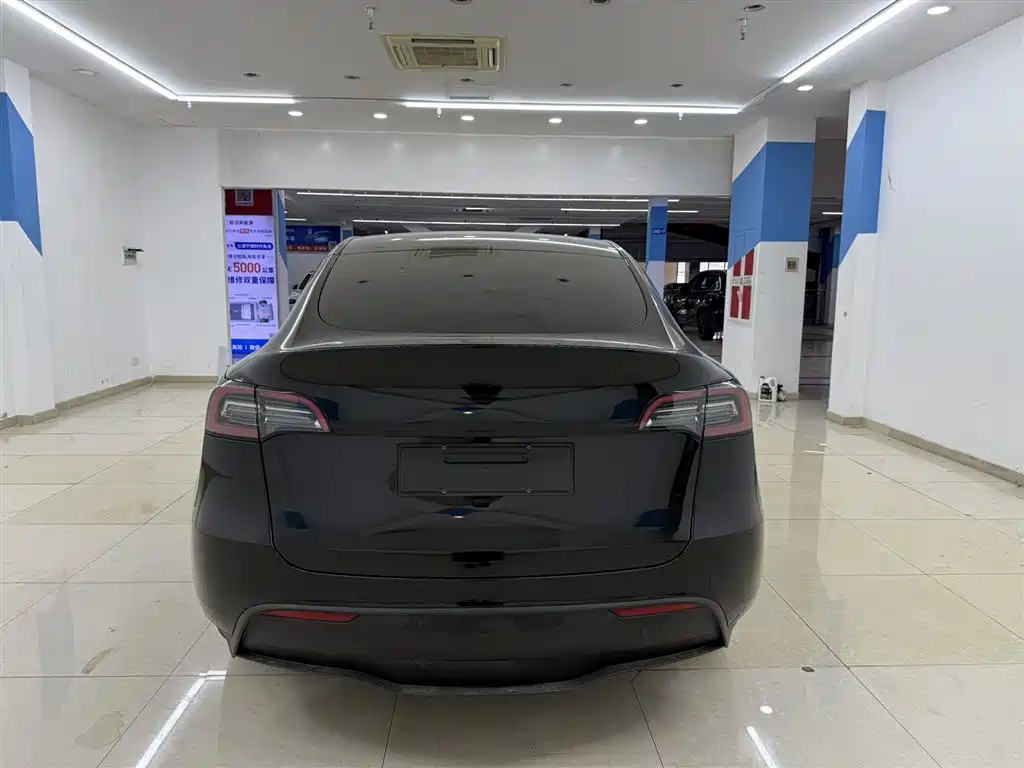 Model Y 2021 Standard Range Rear-Wheel Drive Edition