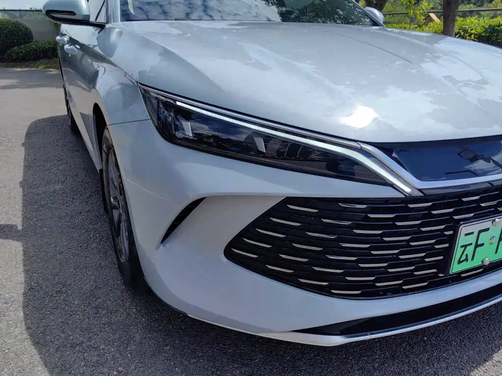 Qin L 2024 DM-i 80KM Leading Edition