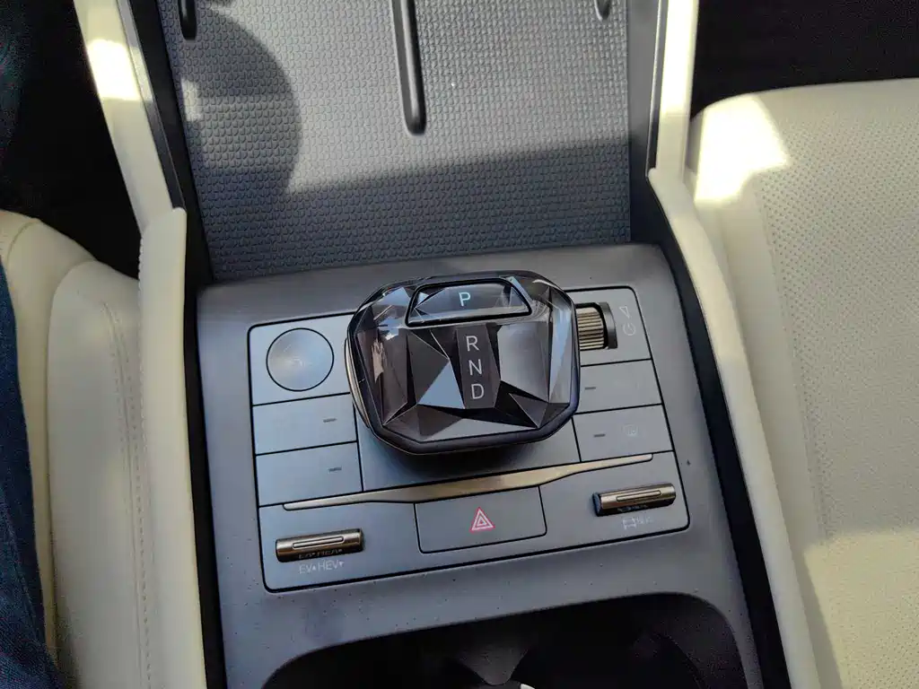 Qin L 2024 DM-i 80KM Leading Edition