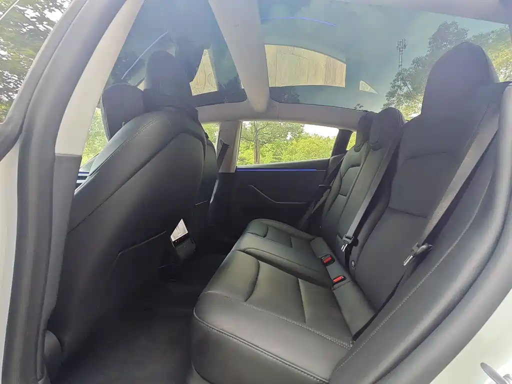 Model 3 2025 Rear-Wheel Drive Edition