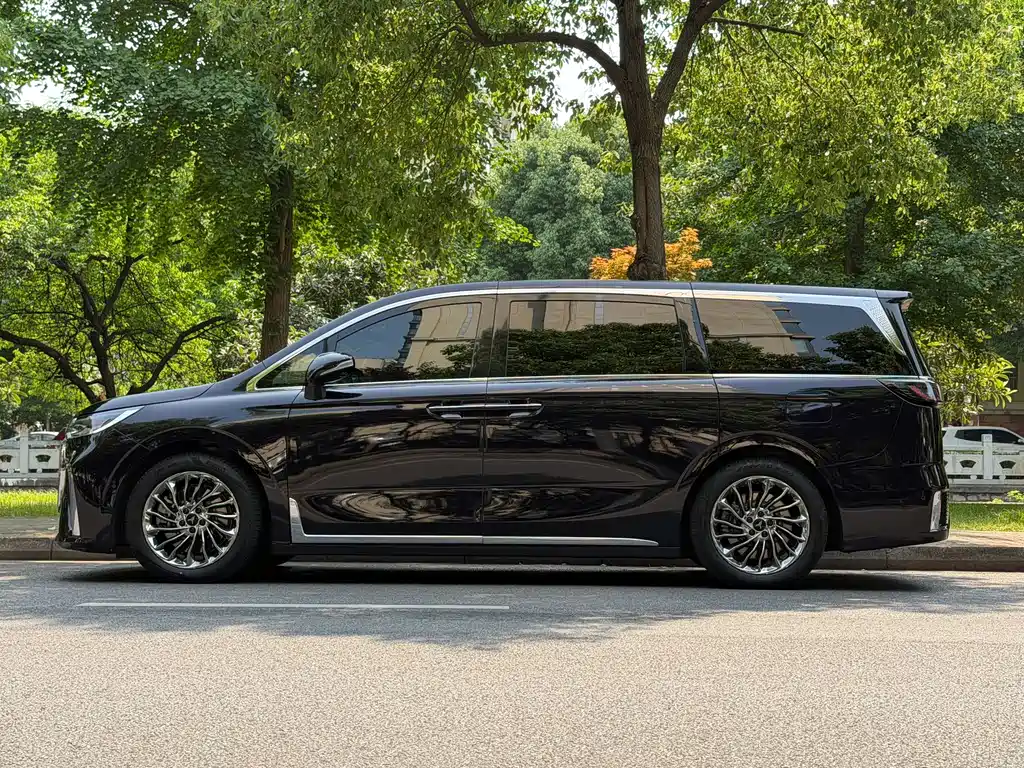 Dream Home 2024 Model PHEV Extra-long Range Flagship Edition