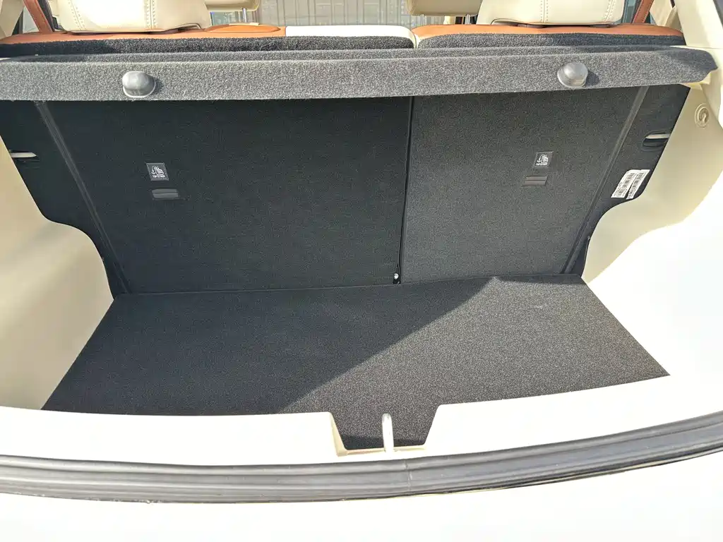 Ora Good Cat 2023 401km Standard Range Prestige Edition LFP