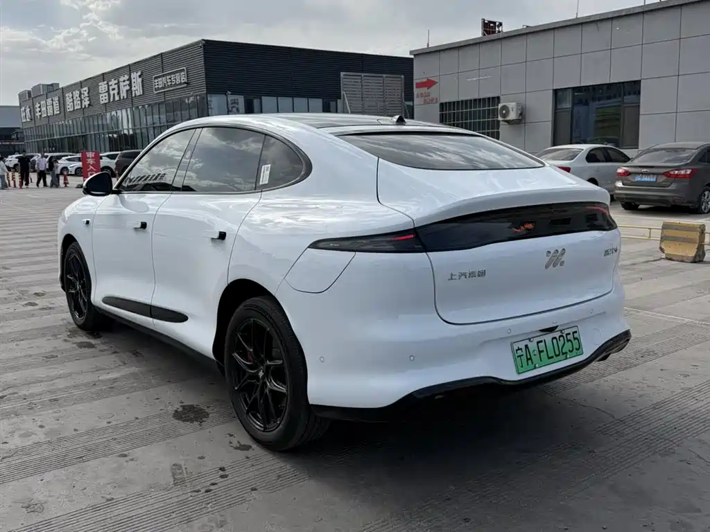 LS6 2026 Range-Extended 52 Max