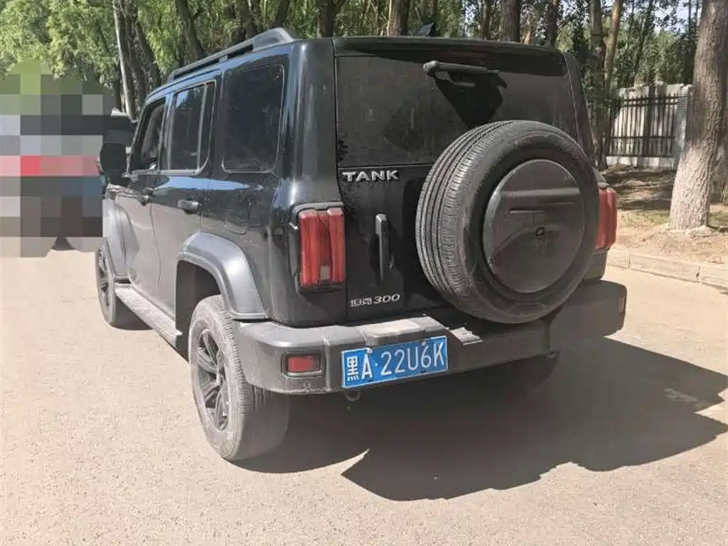 TANK 300 2023 Model Off-Road Edition 2.0T Conqueror